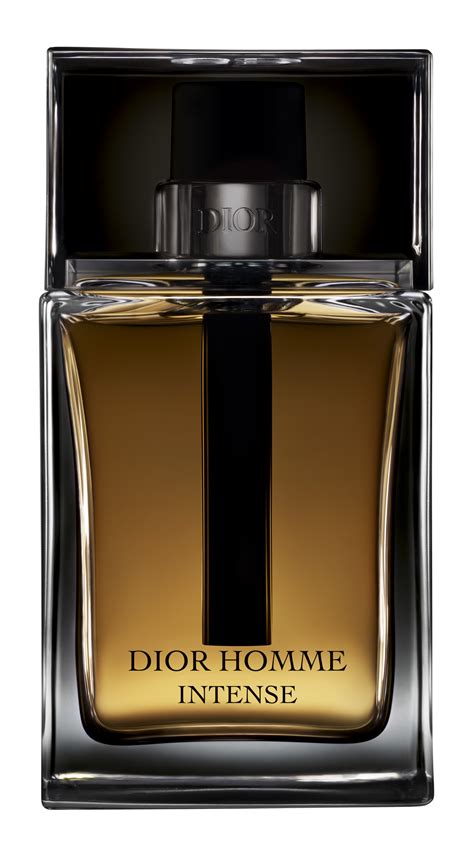 Dior Homme/ Dior Homme Intense or Terre D'hermes